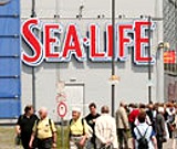 Sealife Oberhausen - Grtes Sea Life Aquarium Deutschlands 
